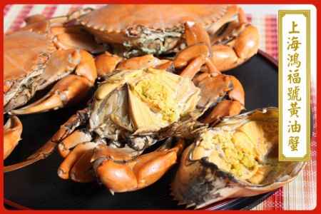 yellowoilcrab